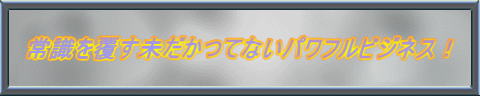 �펯�𕢂��������ĂȂ��p���t���r�W�l�X�I